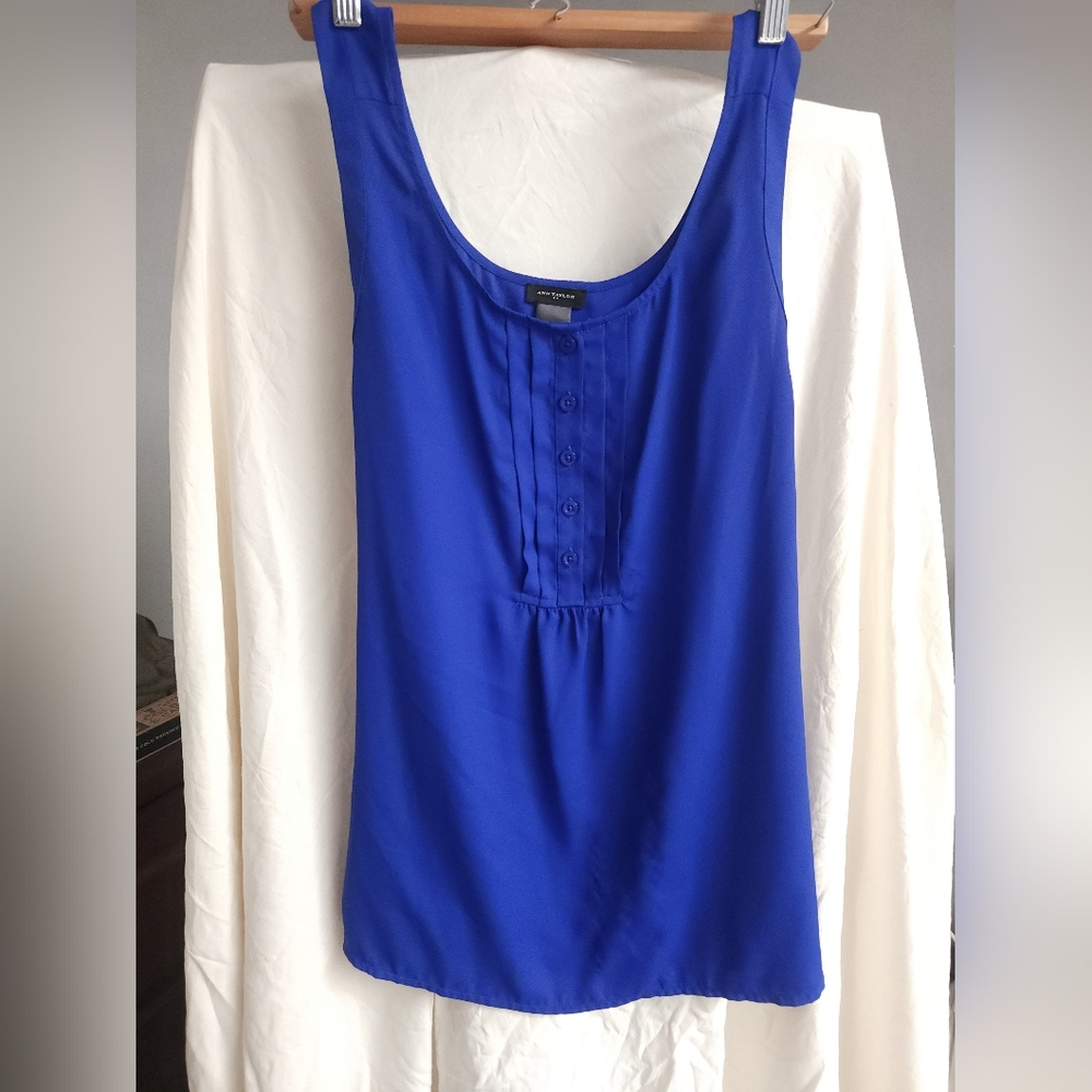 Ann Taylor Blue Sleeveless Top L